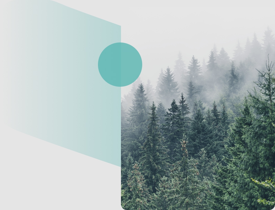 ESG Report 2025