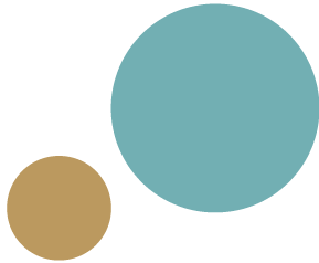 https://www.moraviacans.cz/wp-content/uploads/2021/06/MC_VS_15.png