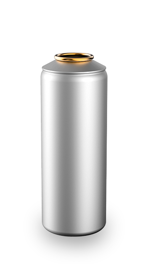 an-53-h-ftp21-t0